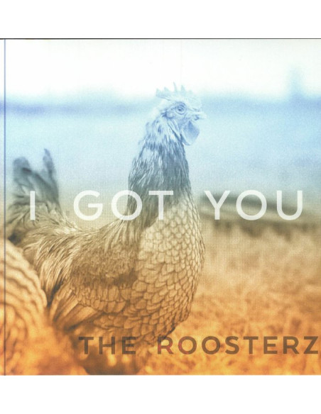 The Roosterz - I Got You