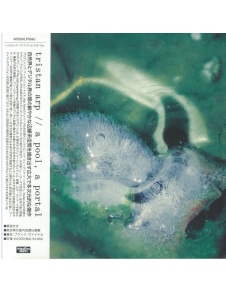 Tristan Arp - A Pool A Portal (Japanese Edition)
