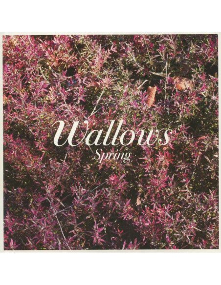 Wallows - Spring
