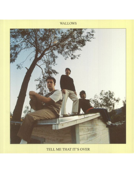 Wallows - Tell Me That It'S Over