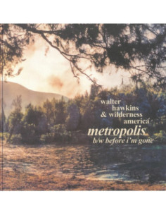 Walter Hawkins - Wilderness America - Metropolis