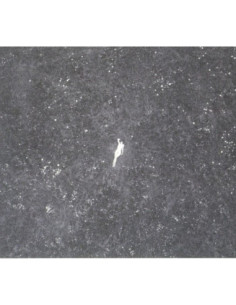 Birds Of Passage - Last Garden - (CD)