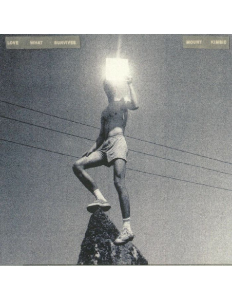 Mount Kimbie - Love What Survives - (CD)
