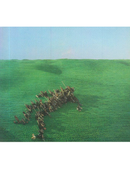 Squid - Bright Green Field - (CD)