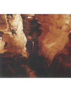 Zola Jesus - Arkhon - (CD)