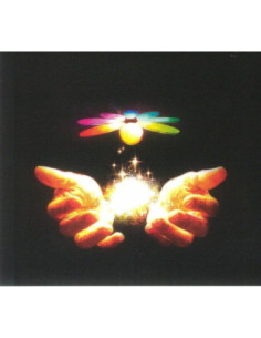 Supermen Lovers The - Body Double - (CD)