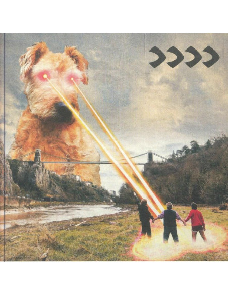 Beak  -      - (CD)