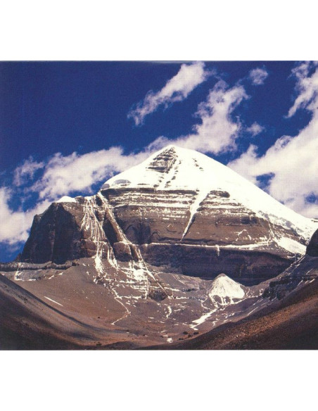Throbbing Gristle - Part Two: The Endless Not / Tg Now - (CD)