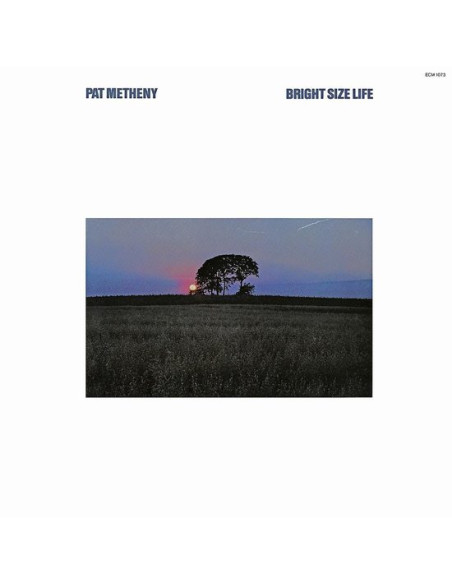 Metheny Pat - Bright Size Life - (CD)