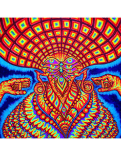 Dream Syndicate The - The Universe Inside - (CD)