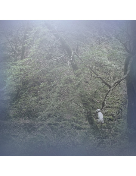 Birdon - Kawaranai/Shoujo No Me