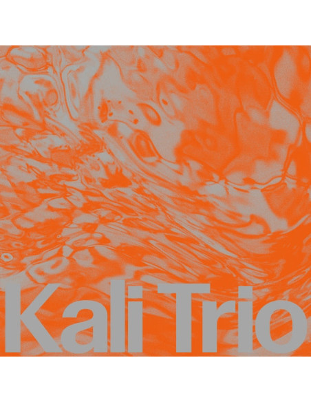 Kali Trio - Playful Abstract