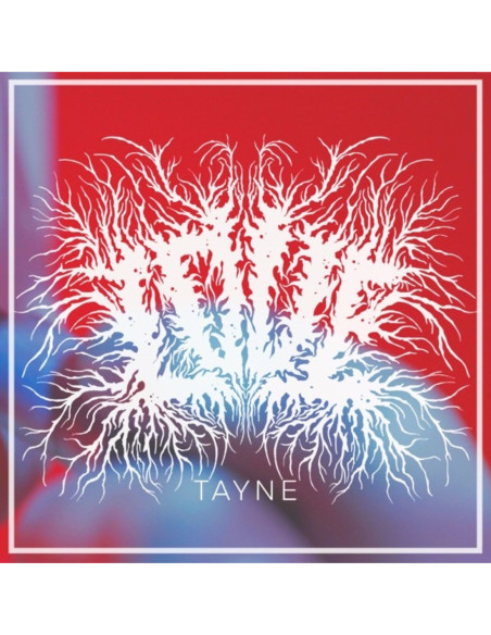 Tayne - Love - Bright Red With Blue and White Spla