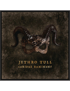 Jethro Tull - Curious Ruminant - (CD)