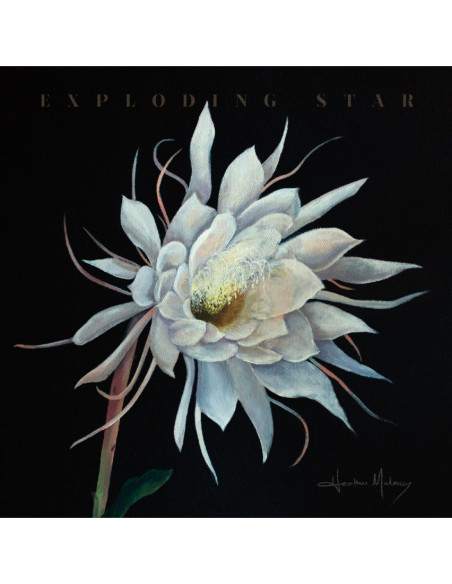 Maloney, Heather - Exploding Star - (CD)