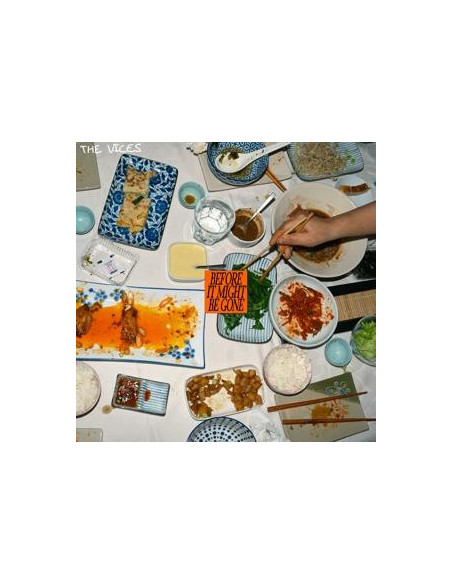 Vices - Before It Might Be Gone - (CD)