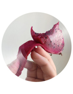 Tiga and Hudson Mohawk - Lmz:Rmx (12p Picture Disc) 2