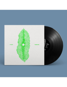 Tv Dust - Transition