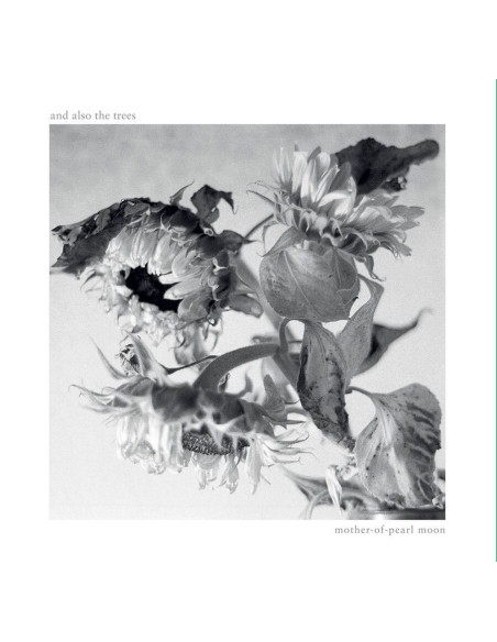 And Also The Trees - Mother-Of-Pearl Moon - (CD)