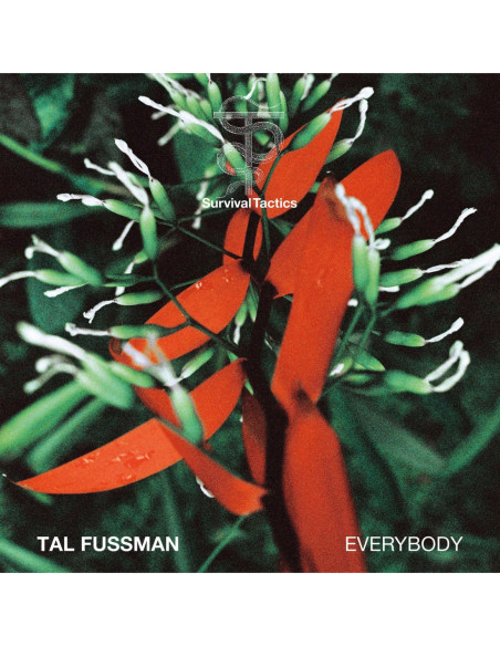 Fussman, Tal - Everybody