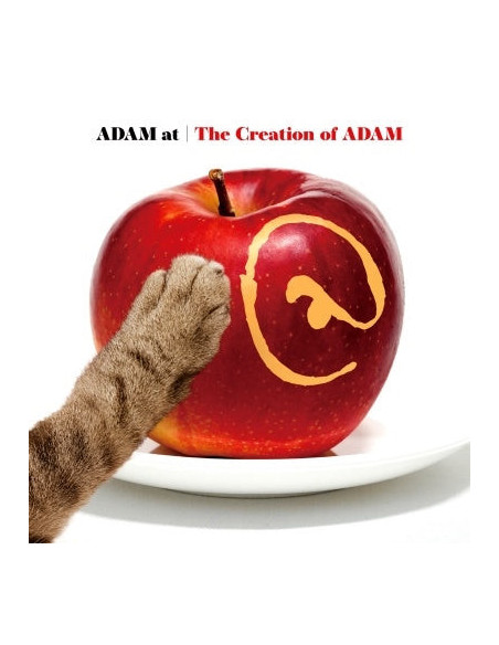 Adam At - The Creation Of Adam - (CD)