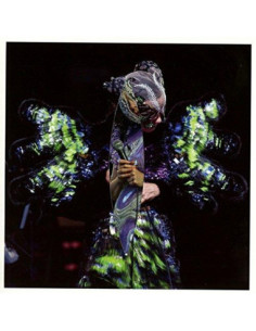 Bjork - Vulnicura Live 2