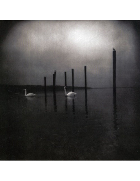 Om - Conference Of The Birds - (CD)