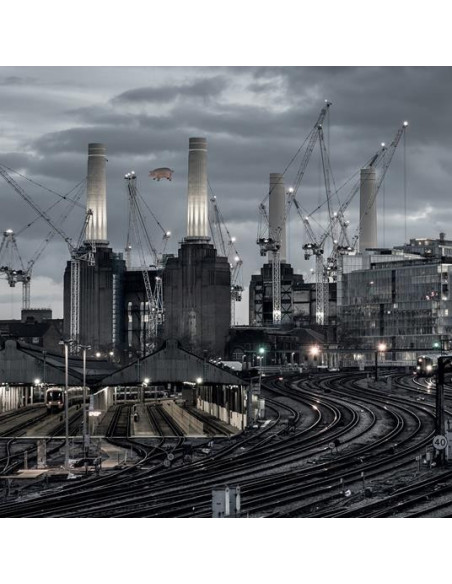 Pink Floyd - Animals (2018 Remix) - (CD)