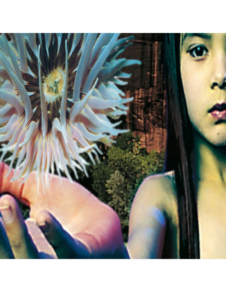 Fsol (Future Sound Of London) - Lifeforms - (CD)