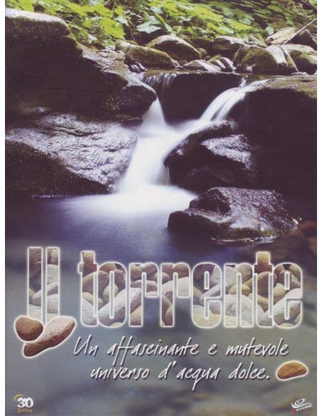 Torrente (Il)