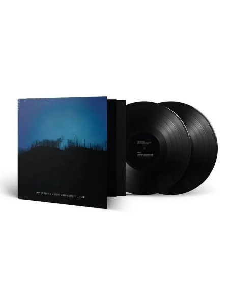 Lux Interna - New Wildrness Gospel