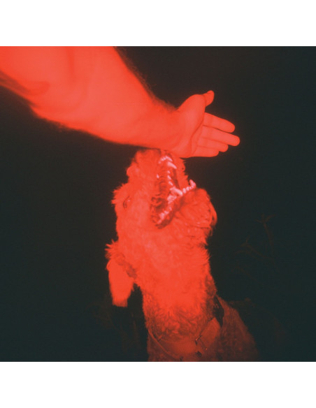 Winter, Eli - A Trick Of The Light (Red Vinyl)
