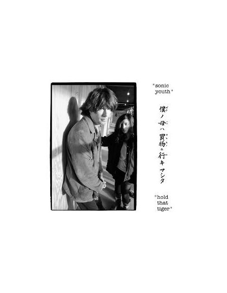 Sonic Youth - Hold That Tiger