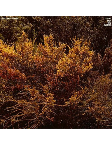 Cantu Ledesma Jefre - Tracing Back The Radiance