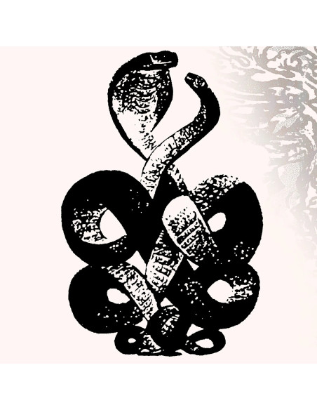 Bardo Pond - Volume 4 and 5