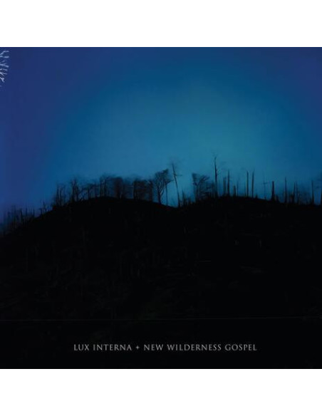 Lux Interna - New Wildrness Gospel - (CD)