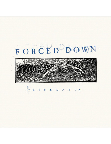 Forced Down - Lierate