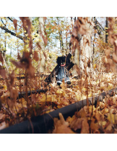 Billy Woods - Golliwog 2