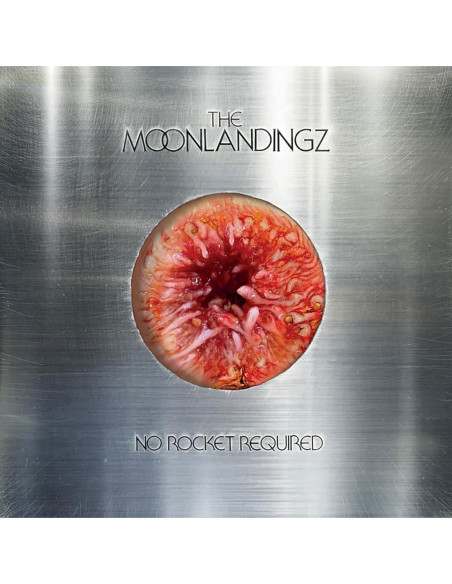 The Moonlandingz - No Rocket Required - (CD)