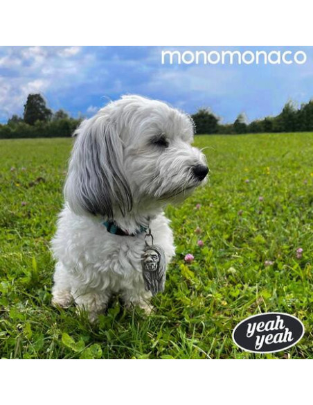 Monomonaco - Yeah Yeah