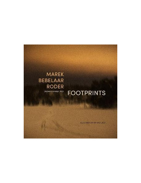 Thomas Marek Trio - Footprints