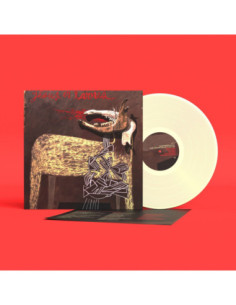 Sparhawk, Alan - With Trampled By Turtles - Loser Edition