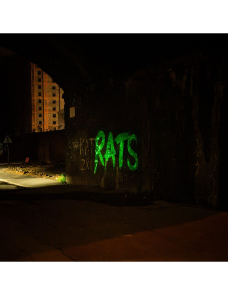 Rats - Rule The World