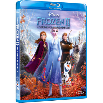 Frozen 2 - Il Segreto Di Arendelle (Blu Ray)