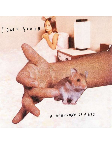 Sonic Youth - A Thousand Leaves