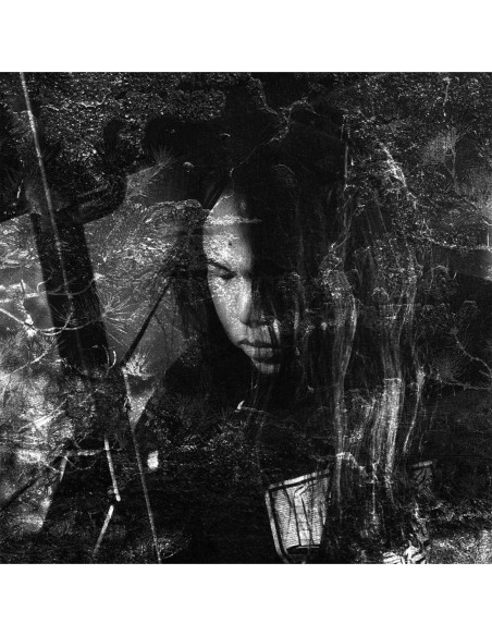 Thisquietarmy - Langue Hybride