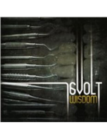 16Volt - Wisdom