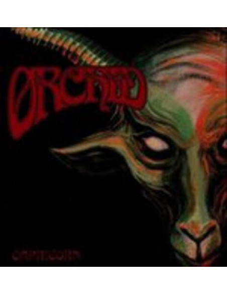 Orchid - Capricorn (Olive Green)