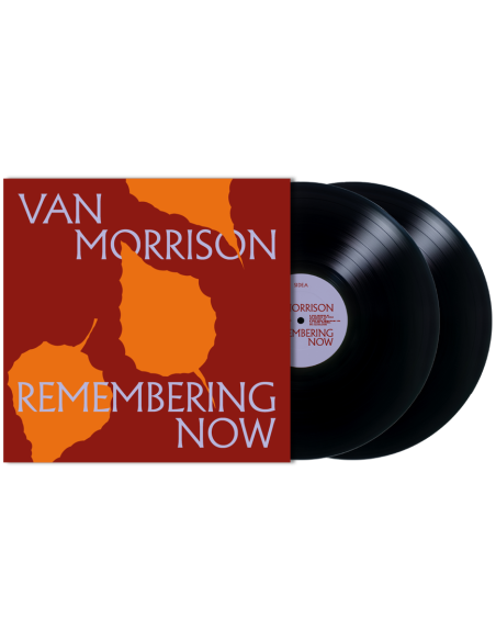 Morrison Van - Remembering Now