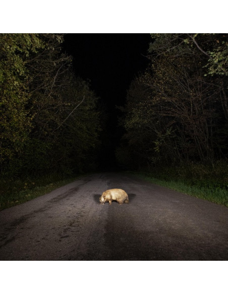 Stonks - Badger - (CD)